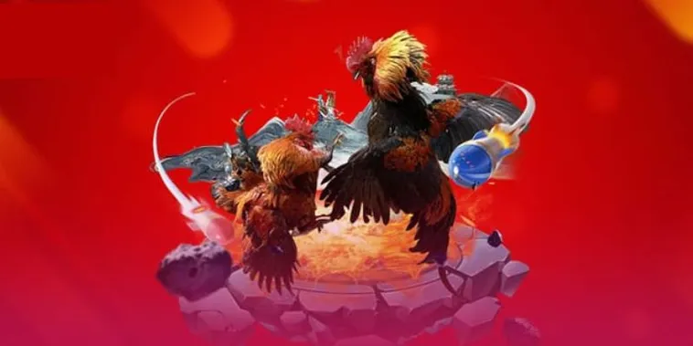 Trải Nghiệm Sảnh Đá Gà VT999 Đẳng Cấp Và Cơ Hội Thắng Lớn Mỗi Ngày