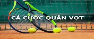 Chuyên Gia Cá Cược Quần Vợt VT999 Hướng Dẫn Soi Kèo Tennis Chi Tiết